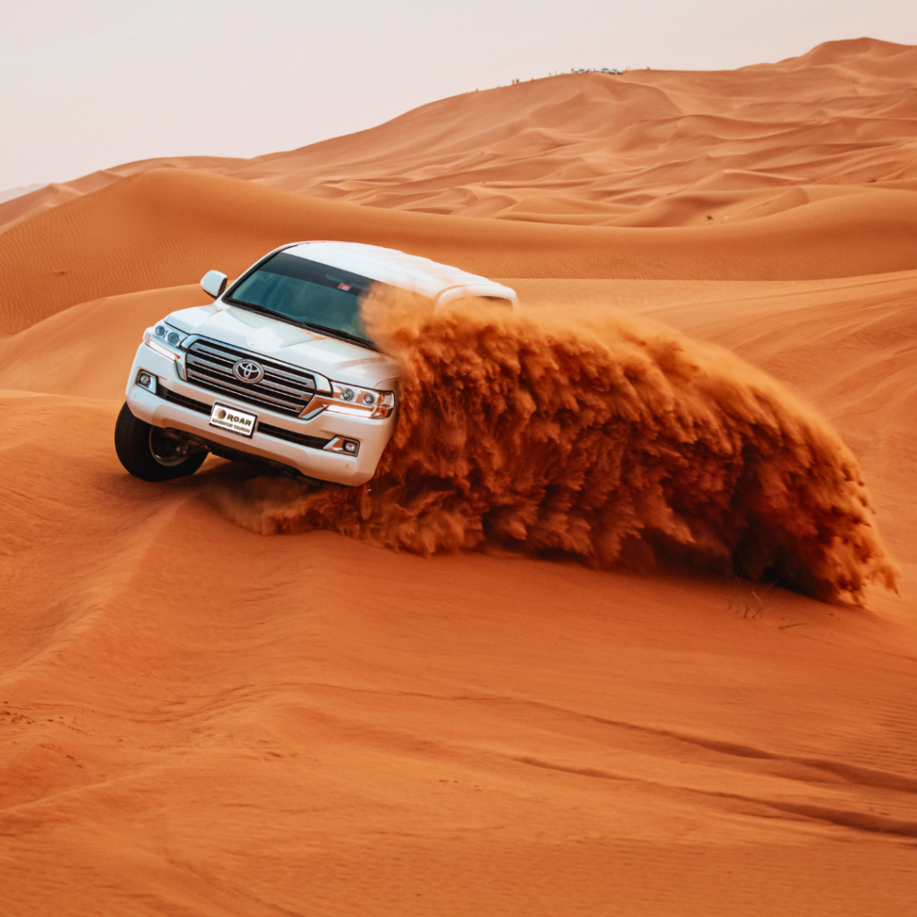 Desert safari dubai (1)