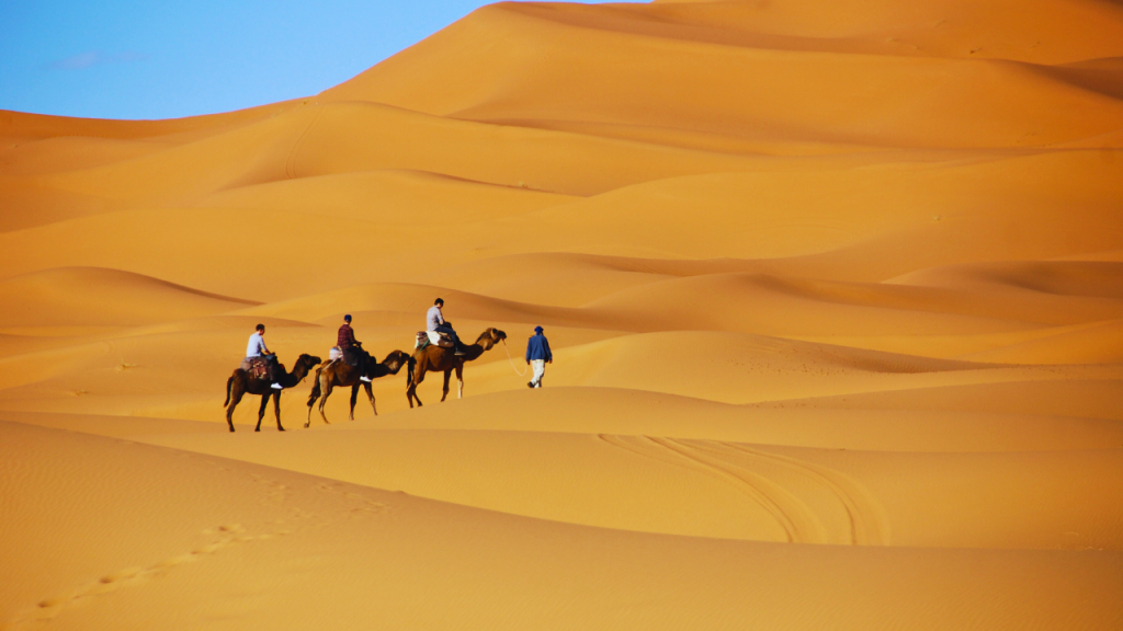 Best Desert Safari Dubai