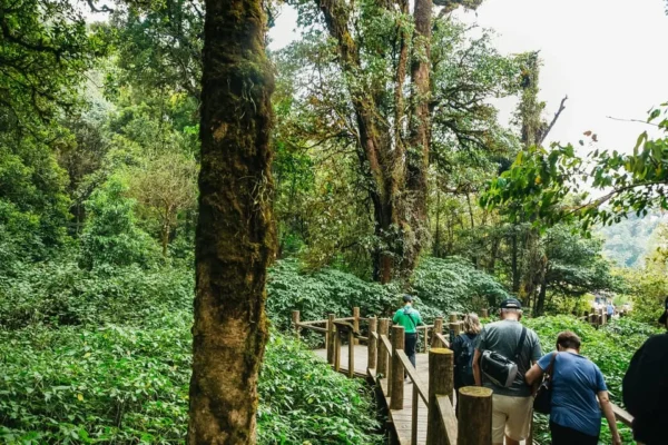 Doi Inthanon National Park Eco-Friendly Tour