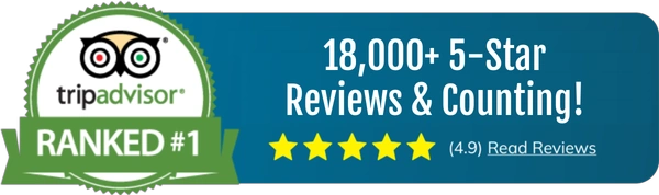 Tripadvisorreviews