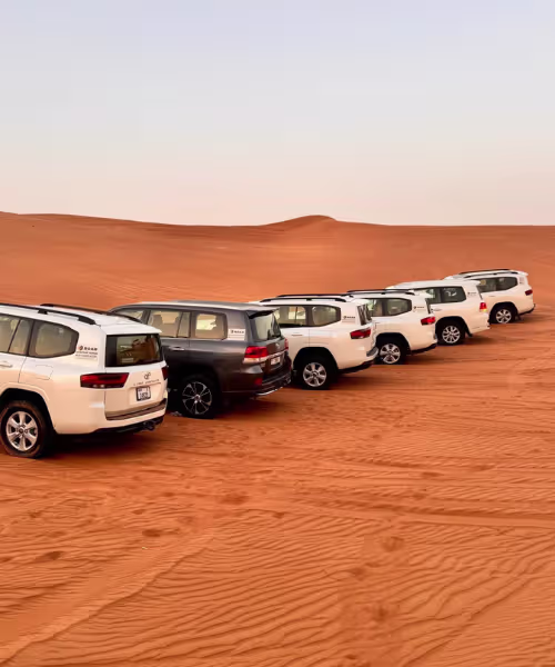 Roar cars